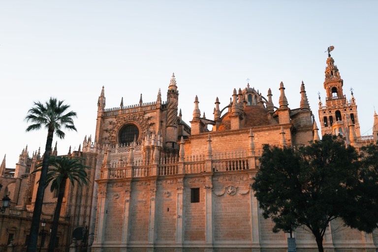 Historic cathedral with ornate towers and palm trees against a clear sky.