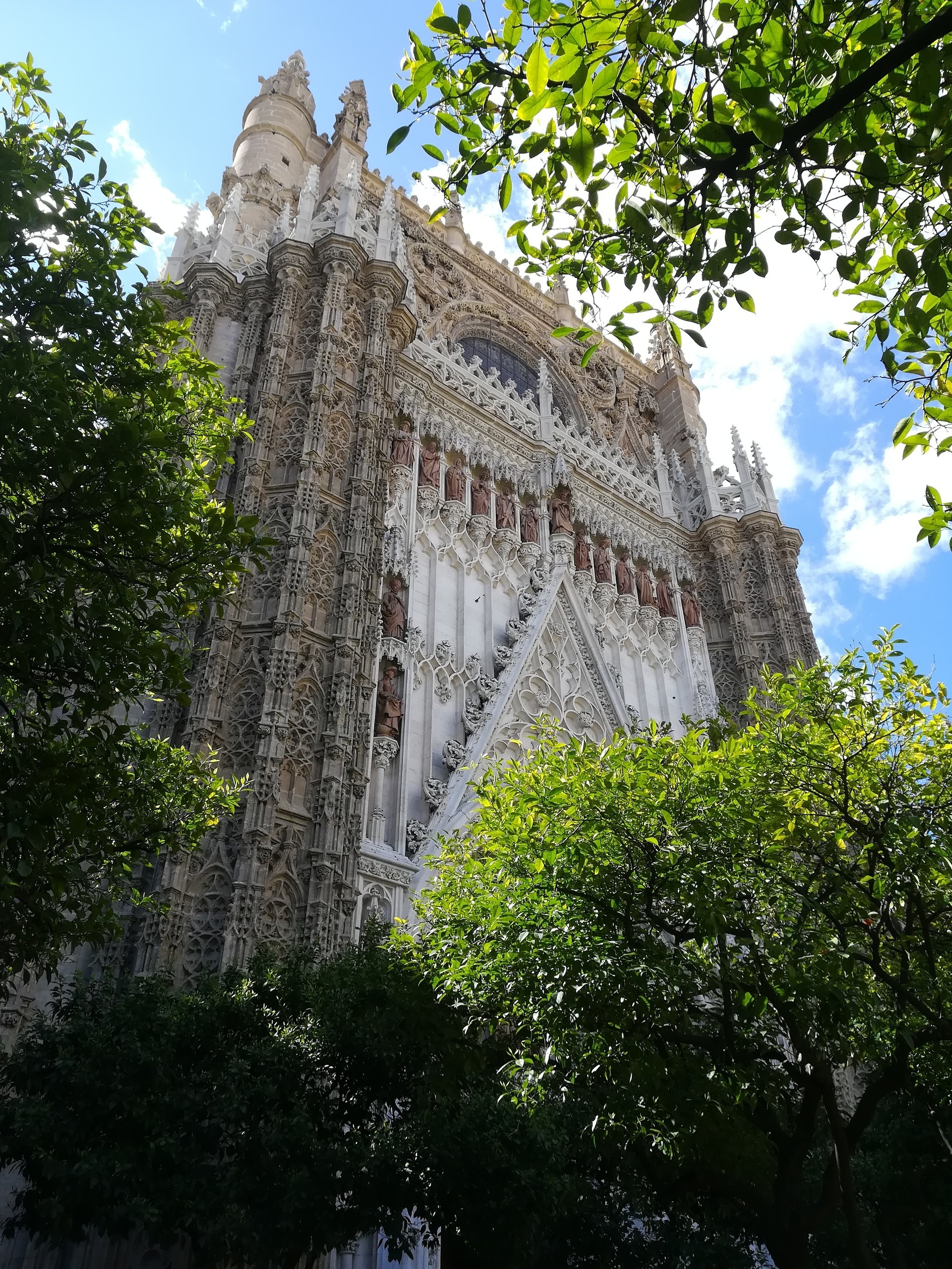 Gothic cathedral facade with ornate details and trees in foreground.