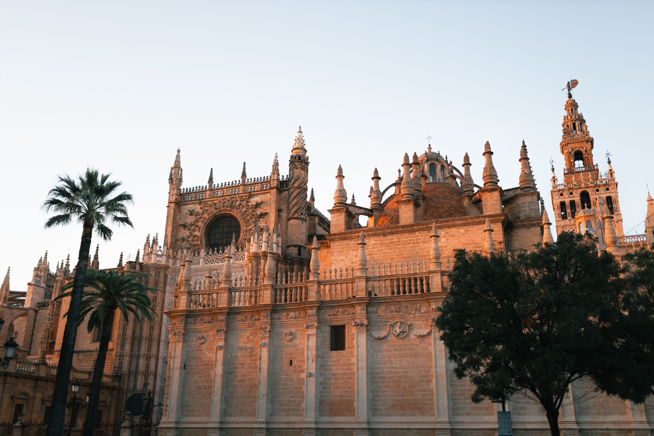 Historic cathedral with ornate towers and palm trees against a clear sky.